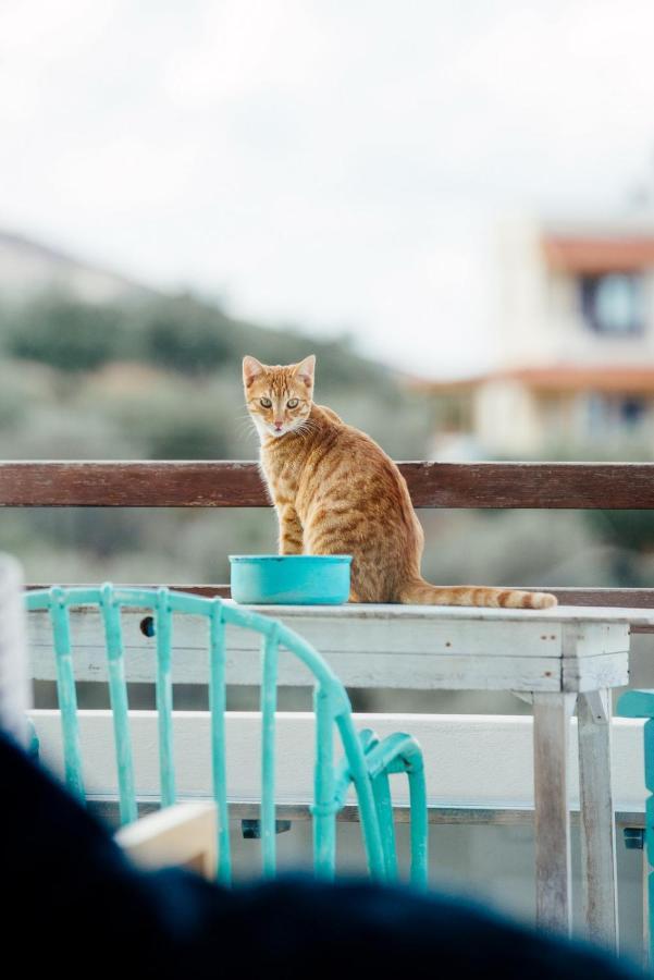 Agia Pelagia Saveriako, Paradise For Relaxed Free Spirits 빌라 외부 사진