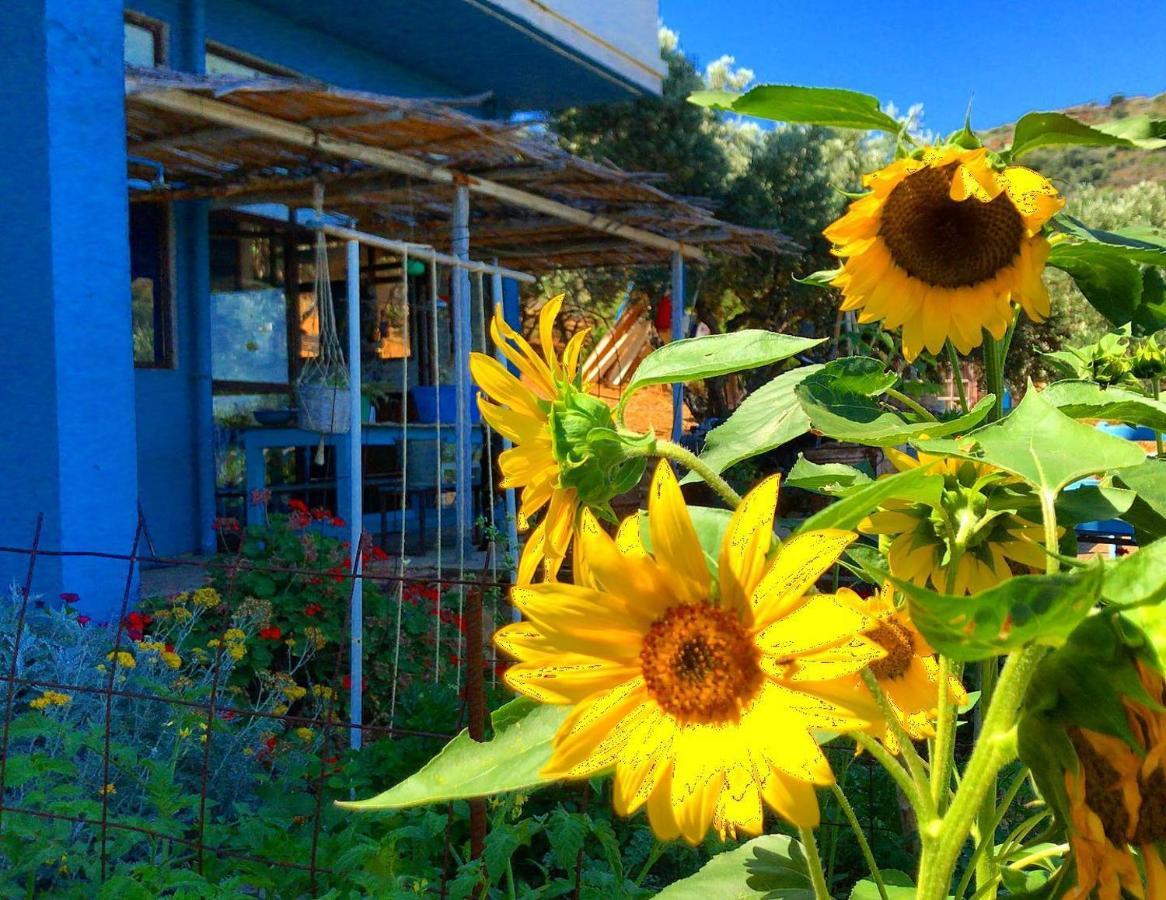 Agia Pelagia Saveriako, Paradise For Relaxed Free Spirits 빌라 외부 사진