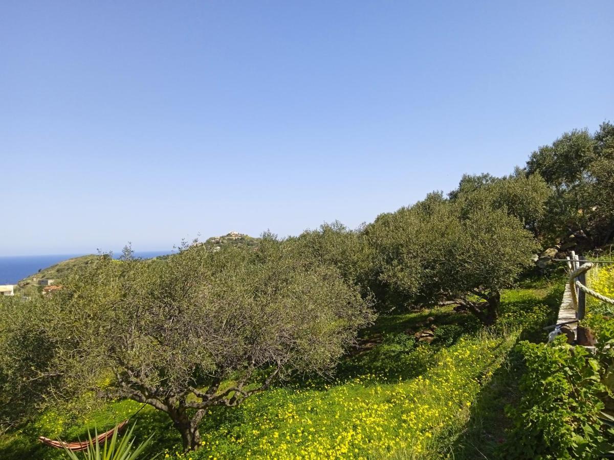 Agia Pelagia Saveriako, Paradise For Relaxed Free Spirits 빌라 외부 사진