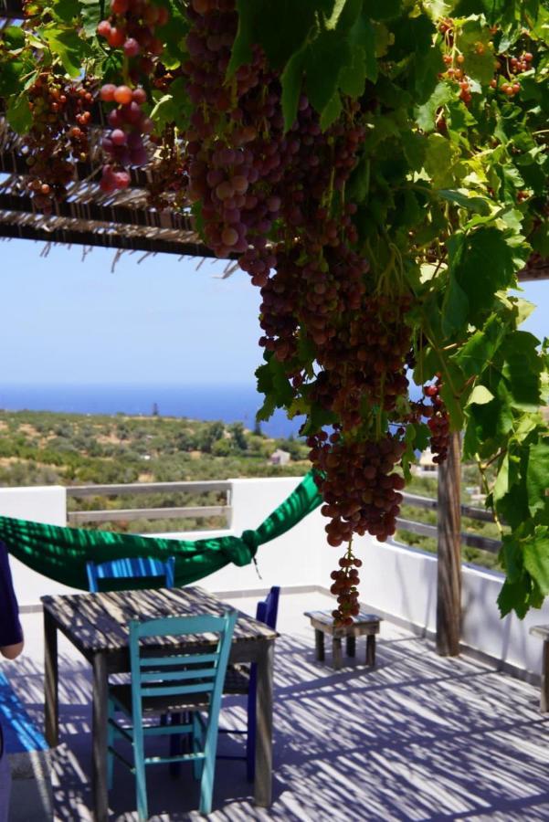 Agia Pelagia Saveriako, Paradise For Relaxed Free Spirits 빌라 외부 사진