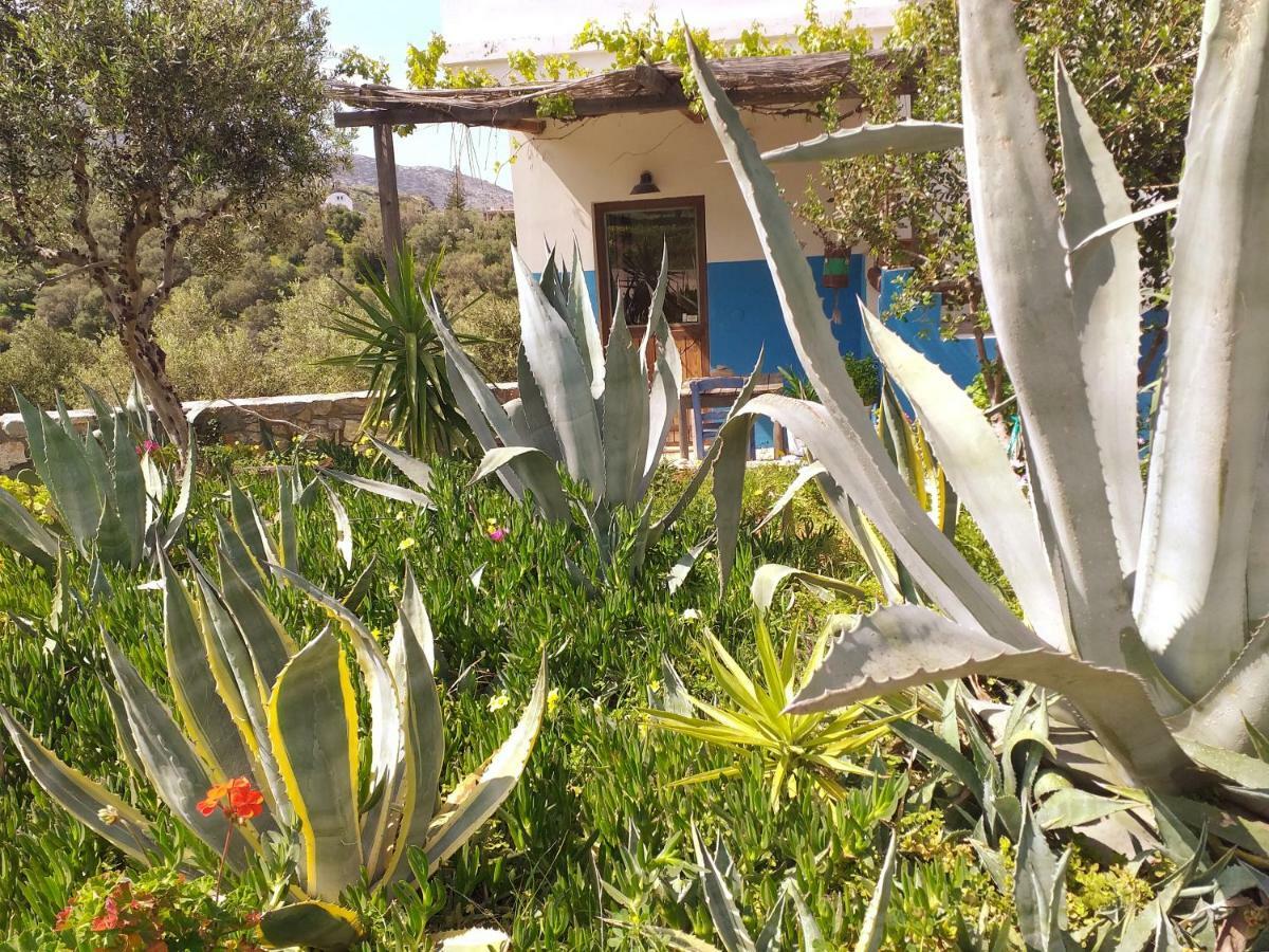 Agia Pelagia Saveriako, Paradise For Relaxed Free Spirits 빌라 외부 사진